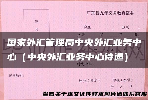 国家外汇管理局中央外汇业务中心（中央外汇业务中心待遇）