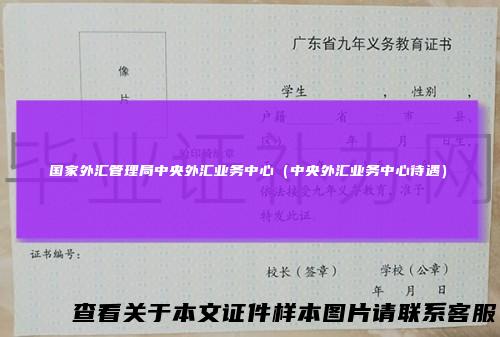 国家外汇管理局中央外汇业务中心（中央外汇业务中心待遇）