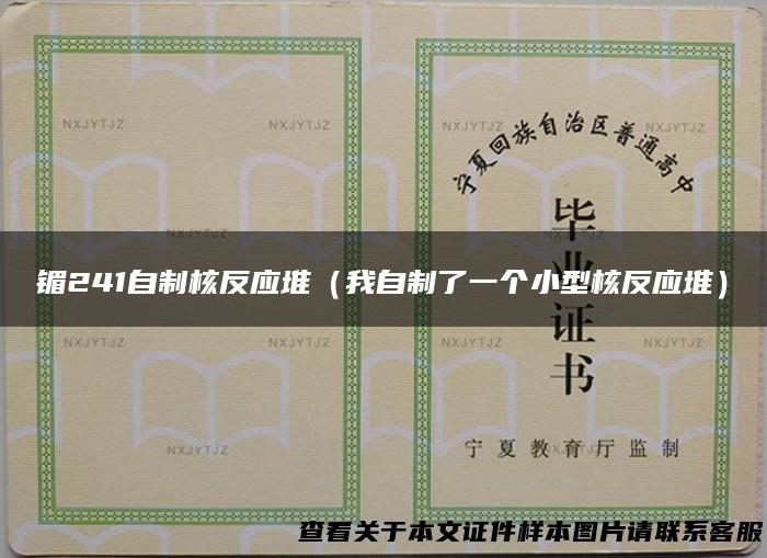 镅241自制核反应堆（我自制了一个小型核反应堆）