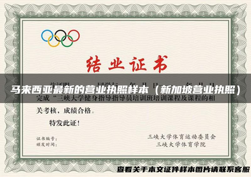 马来西亚最新的营业执照样本（新加坡营业执照）