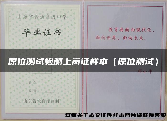 原位测试检测上岗证样本（原位测试）