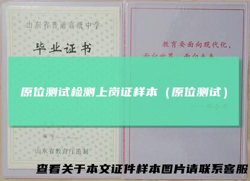 原位测试检测上岗证样本（原位测试）