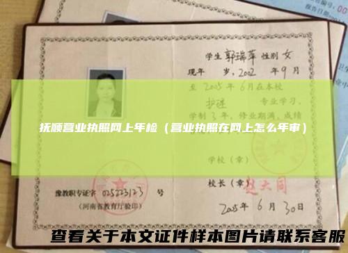 抚顺营业执照网上年检（营业执照在网上怎么年审）