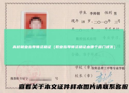 高校就业指导师资格证（职业指导师资格证由哪个部门颁发）