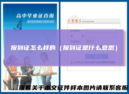 报到证怎么样的（报到证是什么意思）