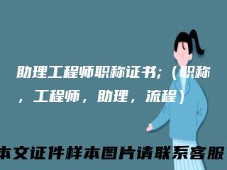 助理工程师职称证书;（职称，工程师，助理，流程）