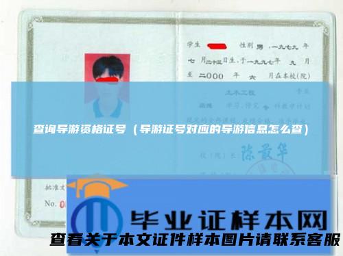 查询导游资格证号(导游证号对应的导游信息怎么查)