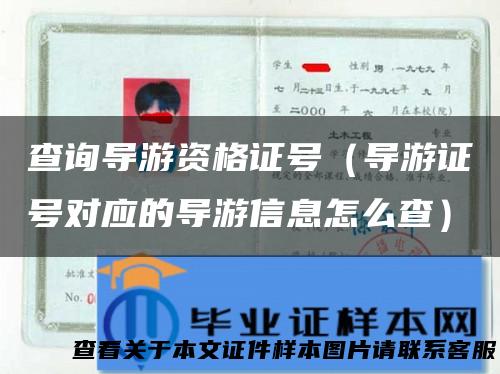 查询导游资格证号（导游证号对应的导游信息怎么查）