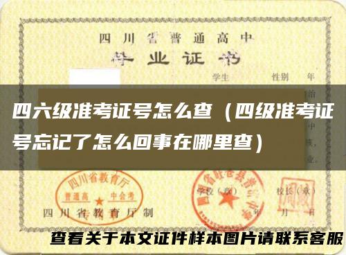 四六级准考证号怎么查（四级准考证号忘记了怎么回事在哪里查）
