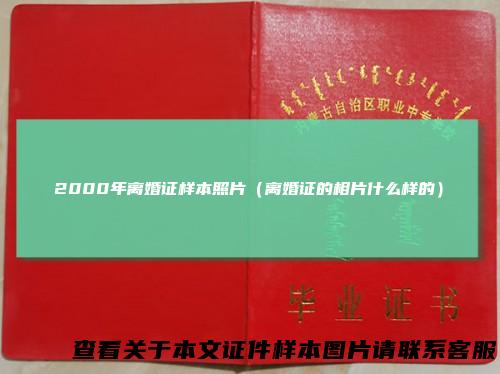2000年离婚证样本照片(离婚证的相片什么样的)