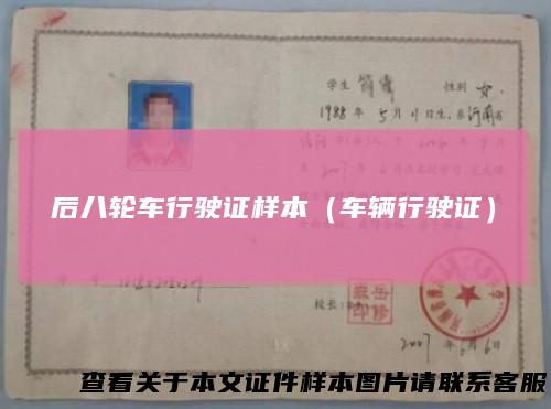 后八轮车行驶证样本（车辆行驶证）