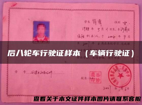 后八轮车行驶证样本（车辆行驶证）