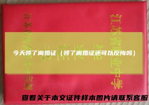 今天领了离婚证(领了离婚证还可以反悔吗)