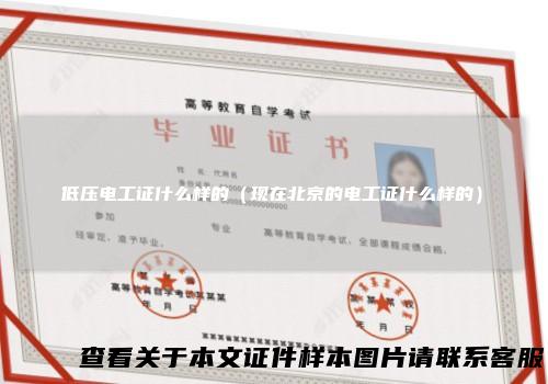 低压电工证什么样的（现在北京的电工证什么样的）