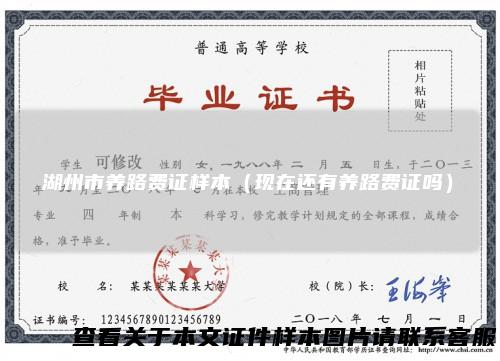湖州市养路费证样本（现在还有养路费证吗）