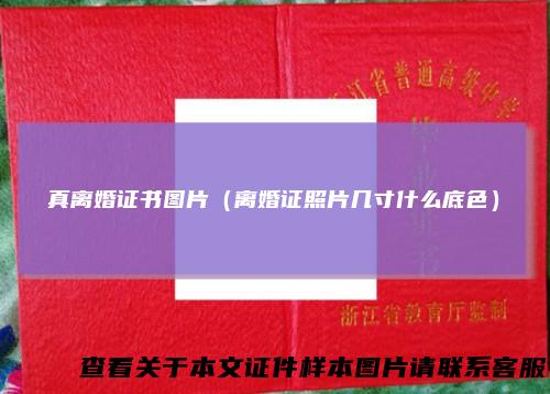 真离婚证书图片（离婚证照片几寸什么底色）