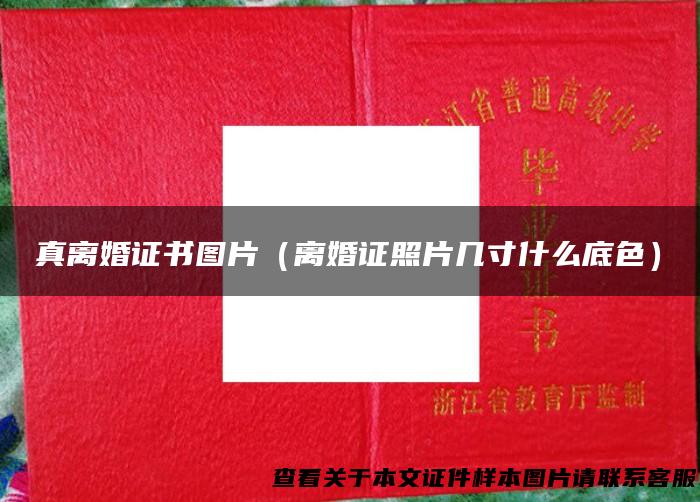真离婚证书图片（离婚证照片几寸什么底色）
