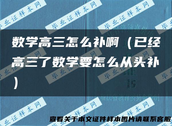 数学高三怎么补啊（已经高三了数学要怎么从头补）
