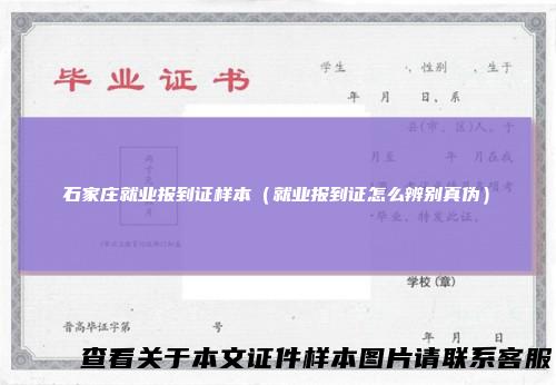 石家庄就业报到证样本(就业报到证怎么辨别真伪)