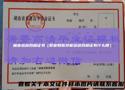 就业培训合格证书（职业教育技能培训合格证有什么用）