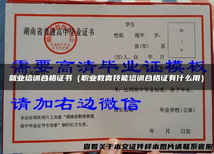 就业培训合格证书（职业教育技能培训合格证有什么用）