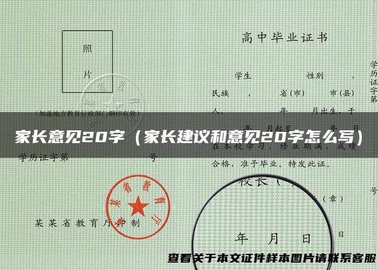 家长意见20字（家长建议和意见20字怎么写）