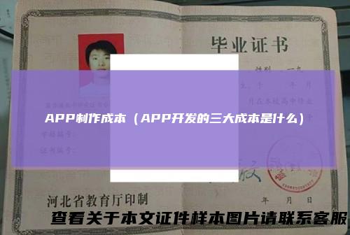 APP制作成本（APP开发的三大成本是什么）