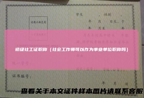 初级社工证职称(社会工作师可以作为事业单位职称吗)