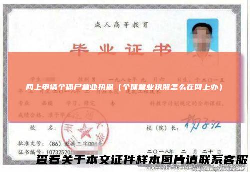 网上申请个体户营业执照(个体营业执照怎么在网上办)