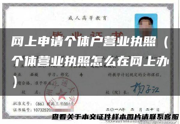 网上申请个体户营业执照（个体营业执照怎么在网上办）