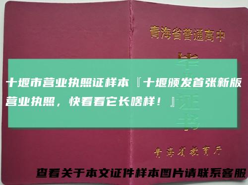 十堰市营业执照证样本『十堰颁发首张新版营业执照,快看看它长啥样!』