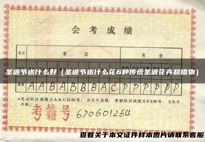 圣诞节送什么好（圣诞节送什么花6种传统圣诞花卉和植物）