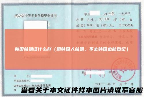 韩国结婚证什么样(跟韩国人结婚,不去韩国也能登记)