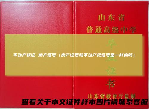 不动产权证 房产证号（房产证号和不动产权证号是一样的吗）
