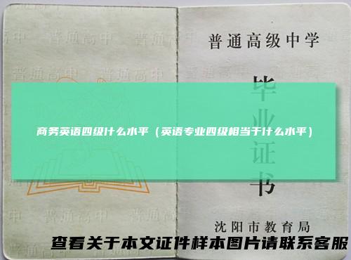 商务英语四级什么水平（英语专业四级相当于什么水平）