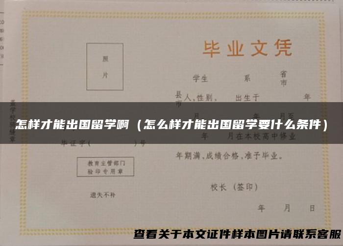 怎样才能出国留学啊（怎么样才能出国留学要什么条件）
