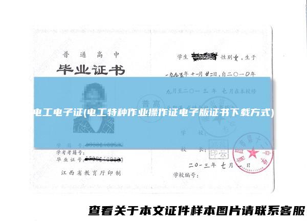 电工电子证(电工特种作业操作证电子版证书下载方式)