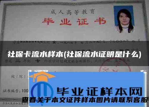 社保卡流水样本(社保流水证明是什么)