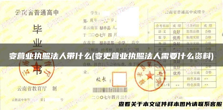 变营业执照法人带什么(变更营业执照法人需要什么资料)