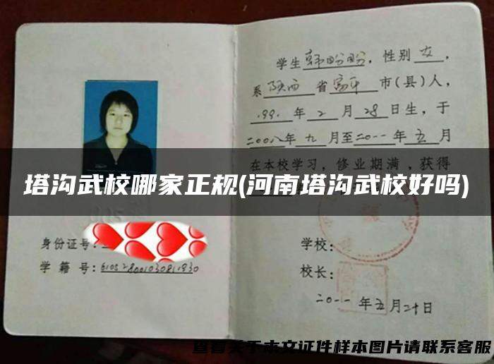 塔沟武校哪家正规(河南塔沟武校好吗)