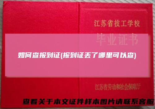 如何查报到证(报到证丢了哪里可以查)