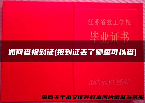 如何查报到证(报到证丢了哪里可以查)