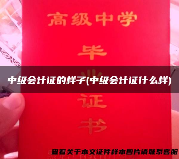中级会计证的样子(中级会计证什么样)