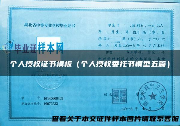 个人授权证书模板（个人授权委托书模型五篇）