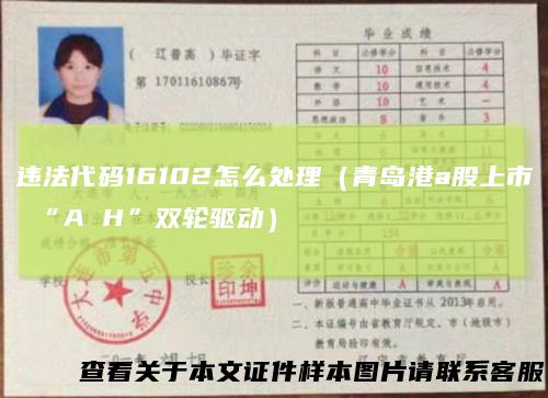 违法代码16102怎么处理（青岛港a股上市“AH”双轮驱动）