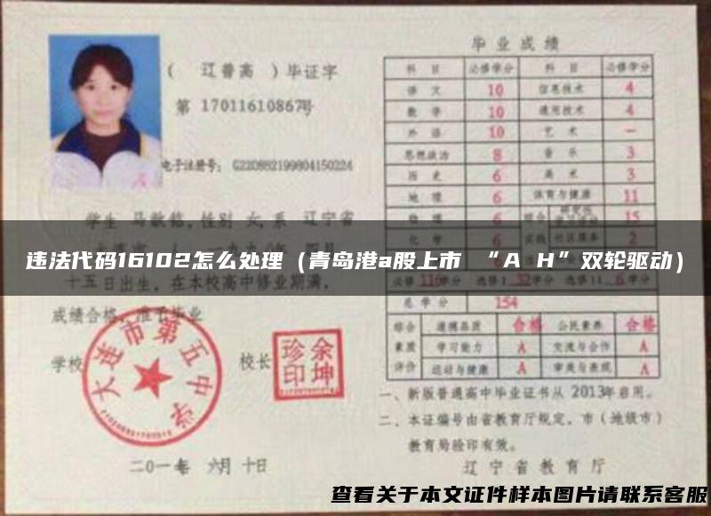 违法代码16102怎么处理（青岛港a股上市 “A H”双轮驱动）