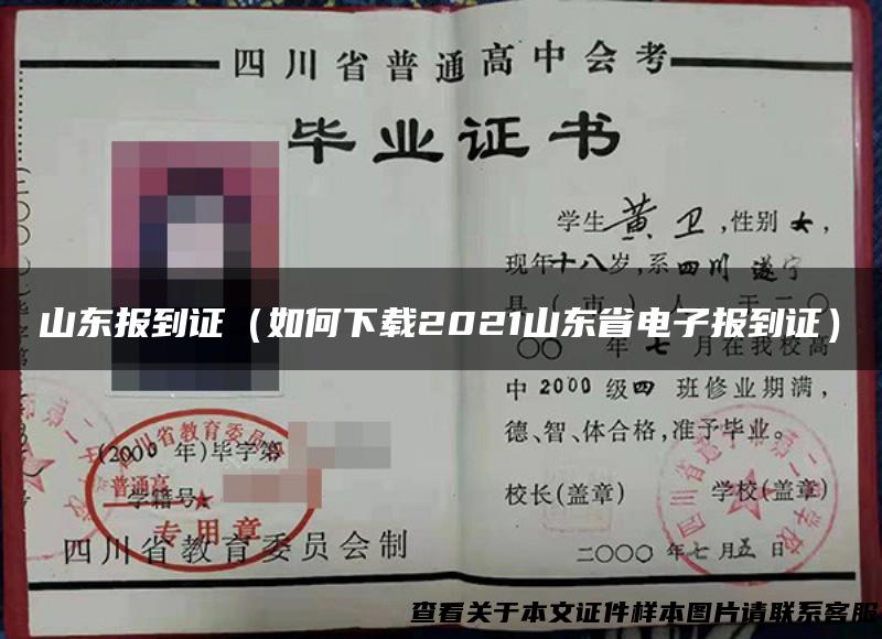 山东报到证（如何下载2021山东省电子报到证）