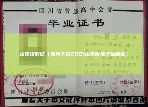 山东报到证（如何下载2021山东省电子报到证）