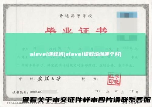 alevel课程班(alevel课程培训哪个好)