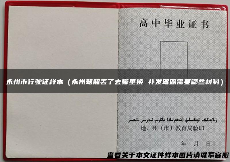 永州市行驶证样本（永州驾照丢了去哪里换 补发驾照需要哪些材料）